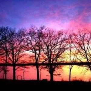 Meet your Posher, Roxanne